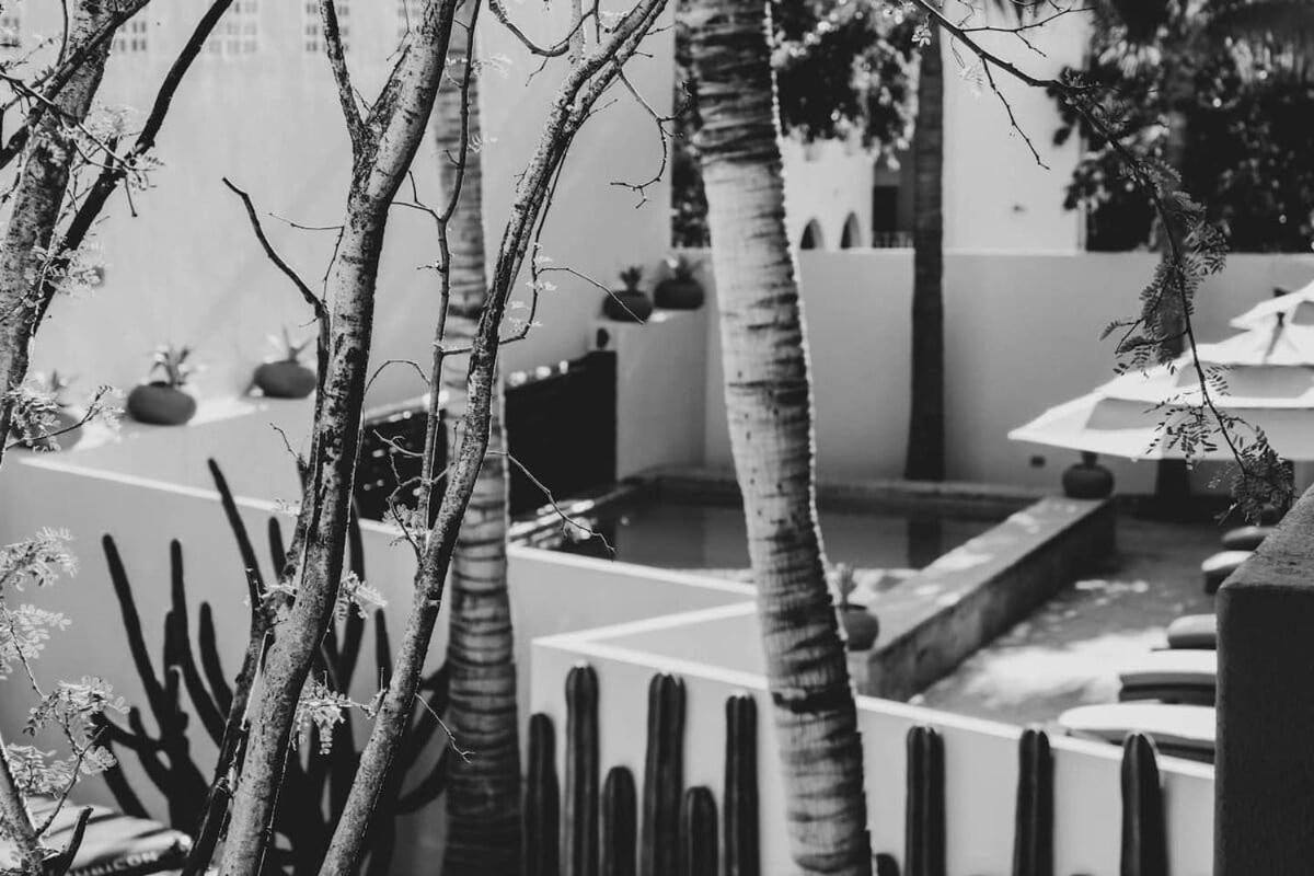 2 Modern Twin Suites In Exclusive Boutique Hotel San José del Cabo Exterior photo